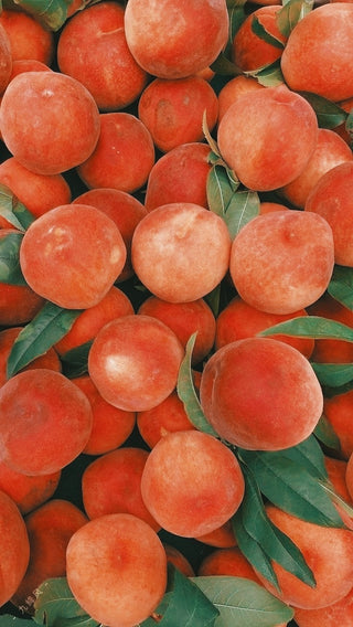 Peach Season