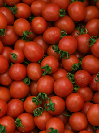 Tomato Vine