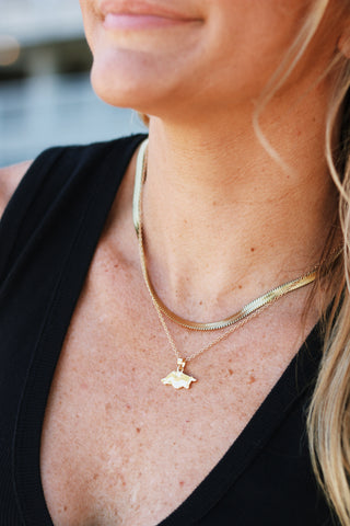 Arkansas Razorback Charm Necklace