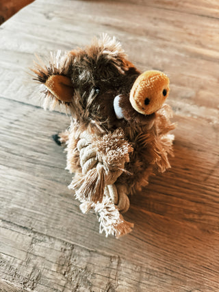 Warthog dog toy
