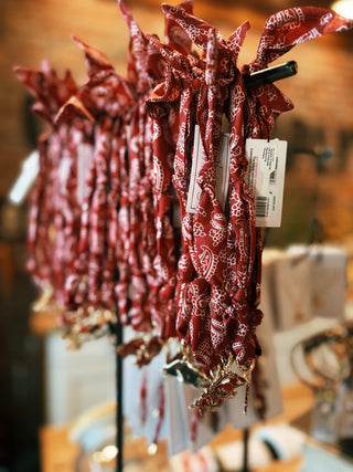 Arkansas Razorbacks Bandana Scarf Necklace