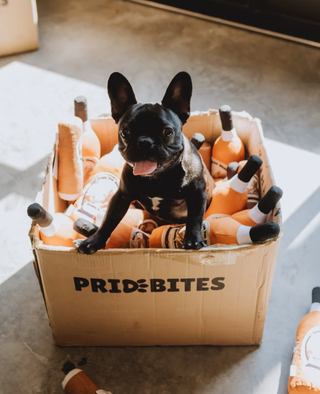 Pappy & Co: Pappy Bottle Canvas Dog Toy