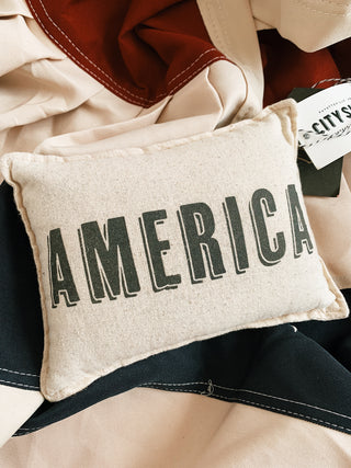 America Balsam Pillow
