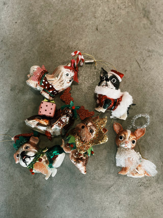 Dog With Costume Ornamnet