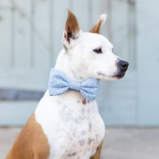 Chambray Dots Dog Bow Tie: Small