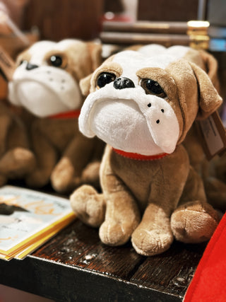 Red Ribbon Bulldog