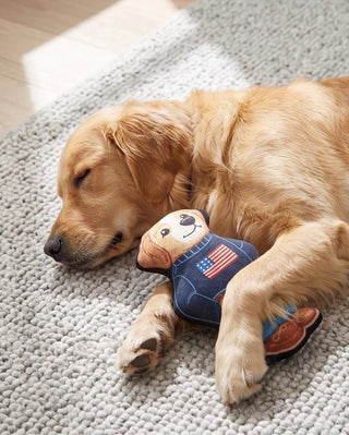 Ruff Lauren Teddy Dog Toy