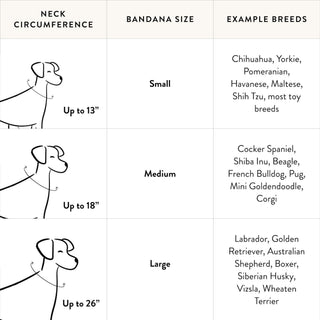 The Foggy Dog - Gone Fishing Dog Bandana