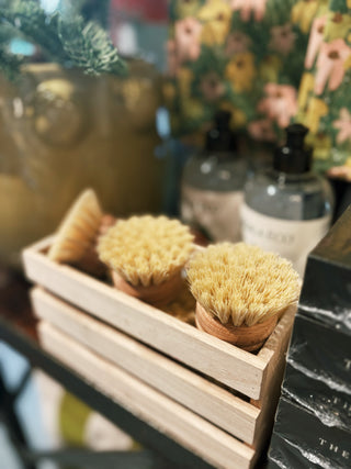 Murchison-Hume - Dish Brush Head