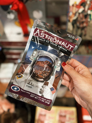 Astronaut Vanilla Ice Cream Sandwich