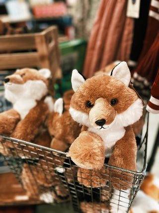 The Petting Zoo - Red Fox