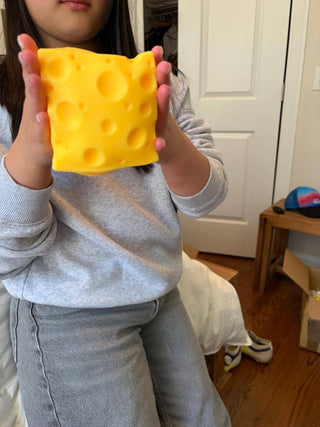 Big Cheese Squishy