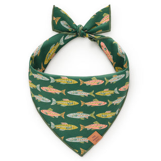 The Foggy Dog - Gone Fishing Dog Bandana