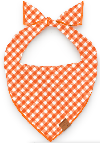 The Foggy Dog - Cider Gingham Dog Bandana: Medium