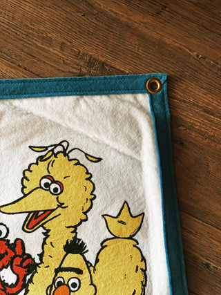 Sesame Street Friends Camp Flag • Sesame Street x Oxford Pennant