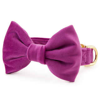 Plum Velvet Dog Bow Tie: Small