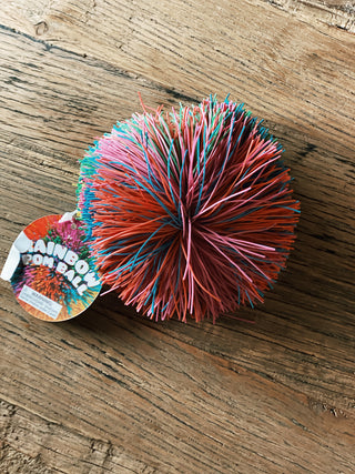 Rainbow Pom Ball