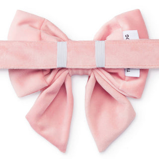 Blush Pink Velvet Lady Dog Bow: Small