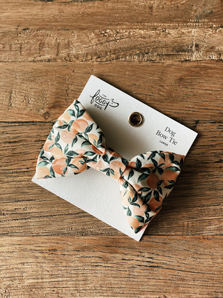 Peaches and Cream Dog Bow Tie: Small