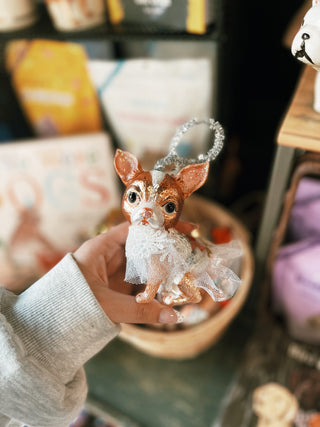 Dog With Costume Ornamnet