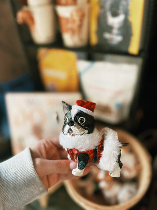 Dog With Costume Ornamnet