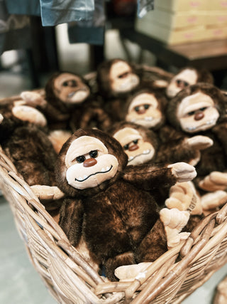 The Petting Zoo - Bigfoot