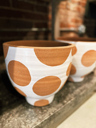 White and Terracotta Polka Dot Planter