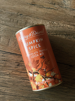 Fall Pumpkin Spice Cocoa