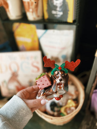 Dog With Costume Ornamnet