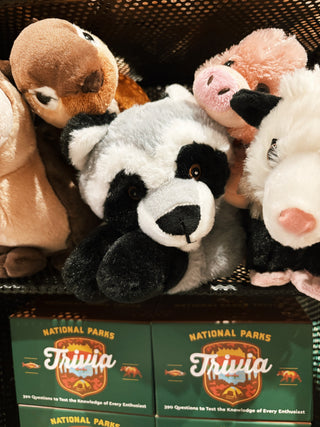 Raccoon Stuffed Animal 12"