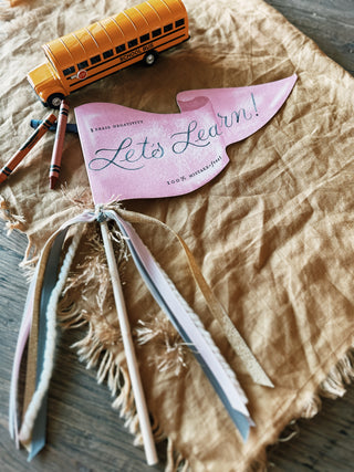 Let's Learn Pink Eraser Party Pennant