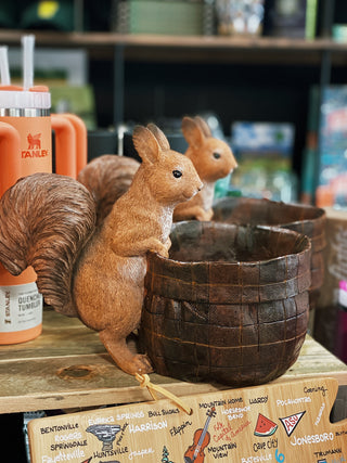 Squirrel Planter