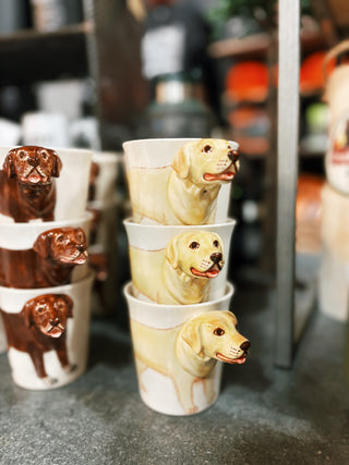 Yellow Labrador Retriever Lab