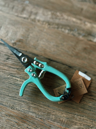 Garden Pruning Shears- Teal