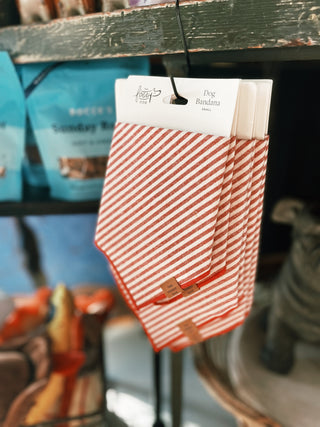 The Foggy Dog - Red Stripe Dog Bandana