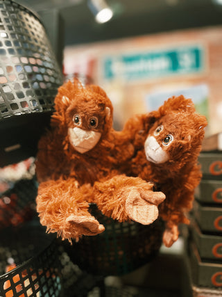 Long Arm Gorilla Plush Toy- Small