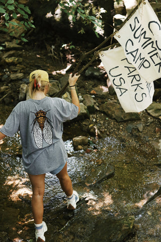 Cicada Season T-Shirt- Grey