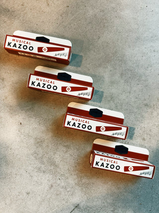 Kazoo Toy