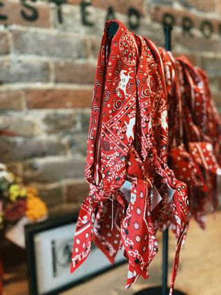 Scarf necklace- Red