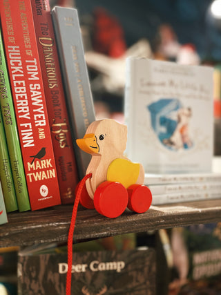 Pull-along Duck