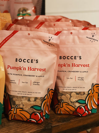 Bocce's Bakery - Pumpk'n Harvest Biscuits