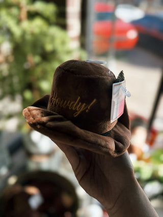 Brown Cowboy Hat