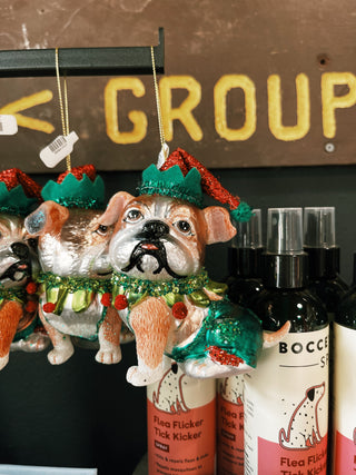 Dog With Costume Ornamnet