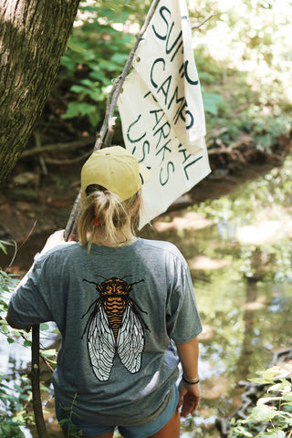 Cicada Season T-Shirt- Grey