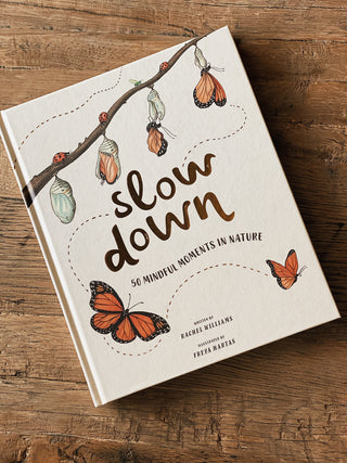 Slow Down by Rachel Williams