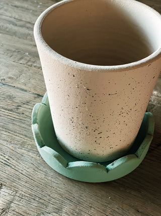 Green Clay Scalloped Tray & Planter