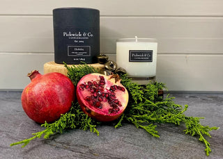 Pickwick & Co. - Holiday