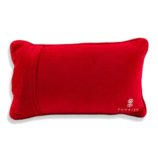 "All I Want" Needlepoint Pillow