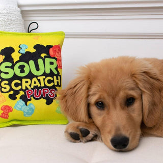 Sour Scratch Dog Toy