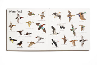 Explore the Outdoors Books - The Big Book of Hunting